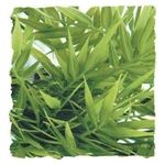 Ra Madagascar Bamboo - Large. Fixed Price $11.93.