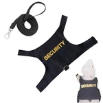 Adjustable Reptile Lizard Gecko Bearded Dragon Harness And Leash For Outdoor Pet. Fixed Price $14.44.