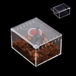 Clear Acrylic Insect Breeding Box Reptile Feeding Enclosure Waterproof 3X9 3.3. Fixed Price $18.99.