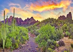 7X5FT Fabric National Park Arizona Desert Backdrop Fire-like Sky Mountain Lan.... Fixed Price $19.33.