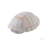 Exo Terra Tortoise Shell. Fixed Price $11.99.