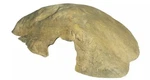 New Exo Terra Reptile House Cave Medium Leopard Gecko Habit. Fixed Price $18.99.