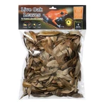 Galapagos Natural Live Oak Leaf Litter 1 EACH/4 Qt By. Fixed Price $15.54.