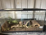 Sold Zoo Med NT-40DW Gallon Naturalistic Reptile Habitat Terrarium. Fixed Price $150.00.
