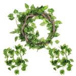 Canlierr 4 Pcs Reptile Vines, Flexible Bendable As Shown The Pictures. Fixed Price $14.64.