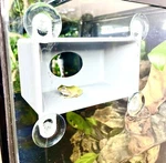 Gecko Frog Cave Wall Decor Amphibian Reptile Tank Enrichment Accessories. Fixed Price $16.99.