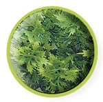Zoo Med Natural Bush Plant Australian Maple. Fixed Price $7.99.
