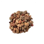 Mosser Lee ML1121 Assorted Colors Small-sized River Rock Soil Cover 5 Lbs.. Fixed Price $18.06.