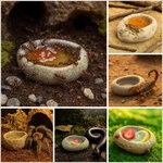 Natural Stone Insect Water Bowl For Tarantula Isopod Beetle Bioactive Terrarium. Fixed Price $16.90.