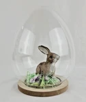 New Fillable Glass Easter Egg Cloche Dome Wood Base Centerpiece Craft 7.5" Empty. Fixed Price $19.95.