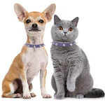 Bingpet Spiked Leather Cat Collar With Bells, (7.9 "- 10.2"), Purple. Fixed Price $15.70.
