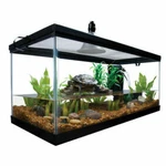 Reptile Habitat Kit Cage Starter Set Tank Filter Lid Bask Lamp Turtle Frog Snake. Fixed Price $162.99.