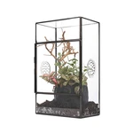 Ncyp Glass Enclosure For Large Jumping Spider - 5.1" X 3.9" Front Openin.... Fixed Price $49.46.
