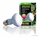Exo Terra Daylight Basking Spot Lamp. Fixed Price $11.99.