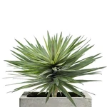 Saki D Cor Artificial Agave Plant, 33 Inch Lifelike Faux Succulent Fo. Fixed Price $154.68.