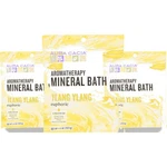 Aura Cacia Aromatherapy Mineral Bath Ylang 2.5 Oz 3 Pack. Fixed Price $18.99.