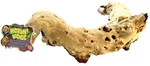 Zoo Med Mopani Wood For Reptile Large -16"-18" Long: Free U.s Shipping. Fixed Price $46.98.
