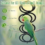 Snake Climbing Chain Toys Ball Python Hoop Corn Enrichment Suitable Kinds. Fixed Price $23.80.