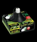 Brand New Box Exo Terra Glow Light Porcelain Clamp. Fixed Price $29.99.