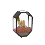 Ncyp Mini Vented Glass Terrarium With And Door For Jumping... Fast Usa Ship. Fixed Price $40.55.