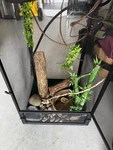 Reptile Habitat Cage And Accessories/zoo Med Dual Lamps/small Tray/waterfall. Fixed Price $120.00.