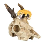 Wtsoh Gecko Tank Accessories Bearded Dragon Cage Accessory Reptile White. Fixed Price $21.73.