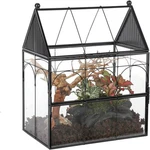 Ncyp Glass Enclosure With Vent Holes For Insect, Jumping Spiders - 7.5" X 4.9". Fixed Price $68.99.