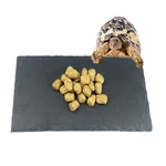 Reptile Basking Platform Tortoise Feeding Dish Natural Rock Food Bowl. Fixed Price $17.68.