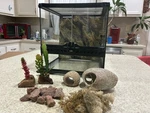 12X12X12 Exo Terrarium And Accessories. Fixed Price $69.00.