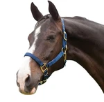Hamilton Deluxe Horse Halter, 1" Triple Ply Nylon, Adjustable Chin Strap, Eas.... Fixed Price $60.13.