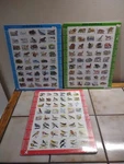 Zoo 1,2,3 Board Puzzles English/spanish Animal/bird Identifier. Fixed Price $22.50.