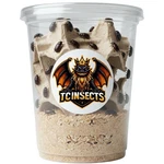 Tc Insects Buffalo Beetle Large Starting Colony 250 Cleaner Crew Safe Feeder. Fixed Price $56.49.