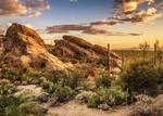 Sjoloon Desert Backdrop National Park Natural Scenery Cactus For Cam.... Fixed Price $23.70.