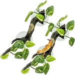 Snake Climbing Branch, 2 Pcs Resin Reptile Branches For With Suction Cu. Fixed Price $25.05.