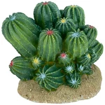 Komodo Cactus Plant Barrel 1 EACH/4 In By. Fixed Price $35.86.