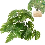 Keruideng Reptile Plants For Terrarium Decor,amphibian Habitat Decor,artifici.... Fixed Price $20.17.