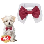 Petaxcell Dog Bow Tie Burgundy Cotton Tuxedo Adjustable Collar. Fixed Price $20.00.