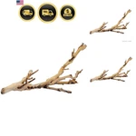Reptile Terrarium Decoration Forest Branch Small Natural Wood Climbing Basking. Fixed Price $14.14.