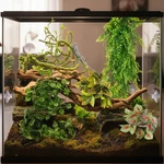 Realistic Terrarium Hanging Plants For Bearded Dragons And Snakes - Green Vines. Fixed Price $27.19.