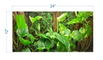 Tropical Biotope - "not Peel And Stick" Terrarium Background TRB0012. Fixed Price $25.00.