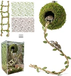 Magnetic Jumping Spider Hideout,habitat Cor Kit - Handmade Moss With. Fixed Price $18.99.