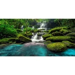 Awert 30X18 Inches Waterfall Terrarium Background Tropical Rainforest Aquariu.... Fixed Price $11.01.