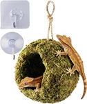 Handmade Crested Gecko Tank Bearded Dragon Accessories, Reptile Hi. Fixed Price $19.99.